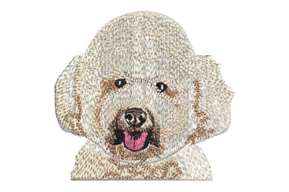 White Poodle